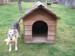 How to build a doghouse