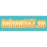 soicau247co