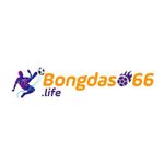 bongdaso66life