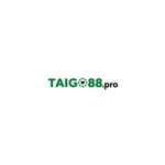 taigo88-pro