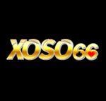 xoso66vorg