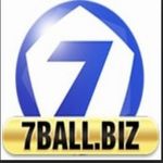 7ballbiz