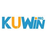 kuwinvnpro