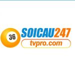 soicau247tvpro