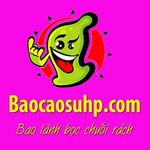 baocaosuhp01