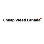 cheapweedcanaio