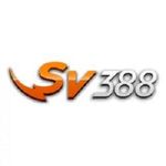 sv388vnhost2024