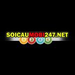 soicaumobi247ne