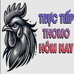 thomohomnayinfo