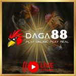 daga880