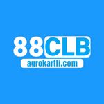 88clbagrokartli